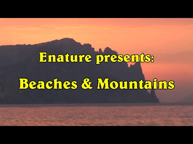 Beaches and Mountains