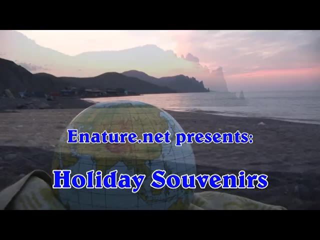 Holiday Souvenirs